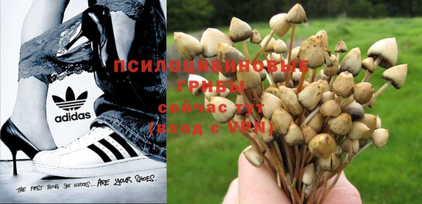 mdpv Абдулино