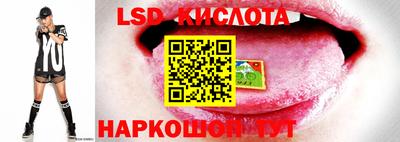 ALPHA-PVP Моздок