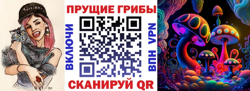 Псилоцибиновые грибы мицелий  даркнет сайт  Тихорецк 