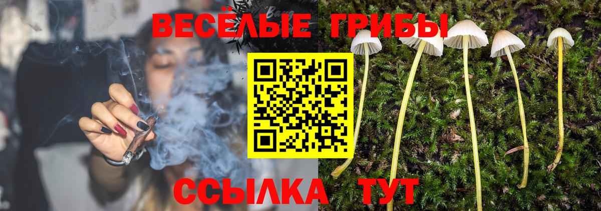 Тихорецк  Галлюциногенные грибы Psilocybe  Вход с VPN  Псилоцибиновые грибы MAGIC MUSHROOMS 